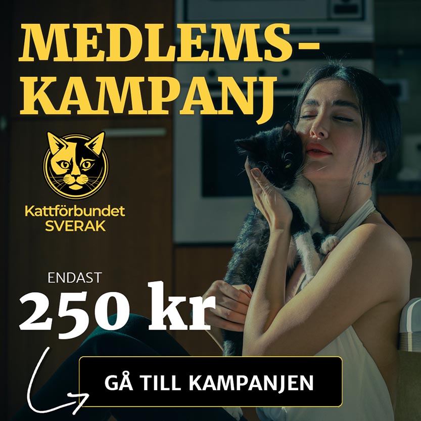 Medlemskampanj 2025