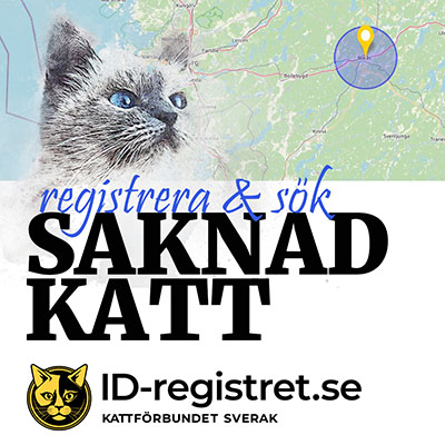 Saknad katt